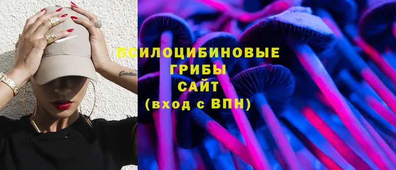 Галлюциногенные грибы мицелий  blacksprut tor  Данков 